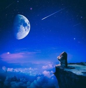 Meet your Posher, Fariba